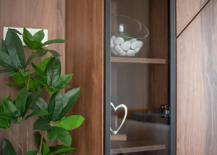 Daire Vidik Zlatibor